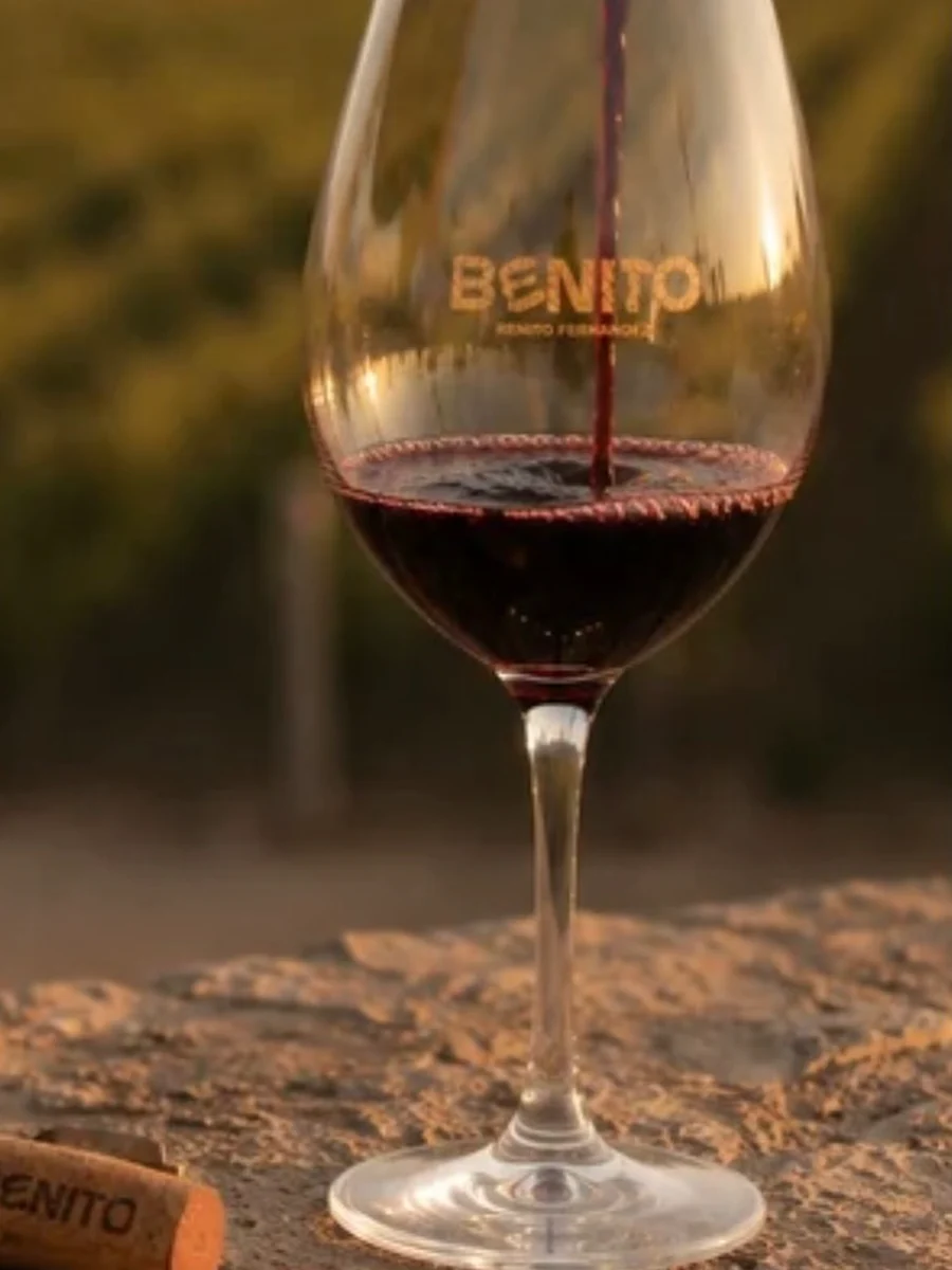 Vino — Licencia Benito Fernandez